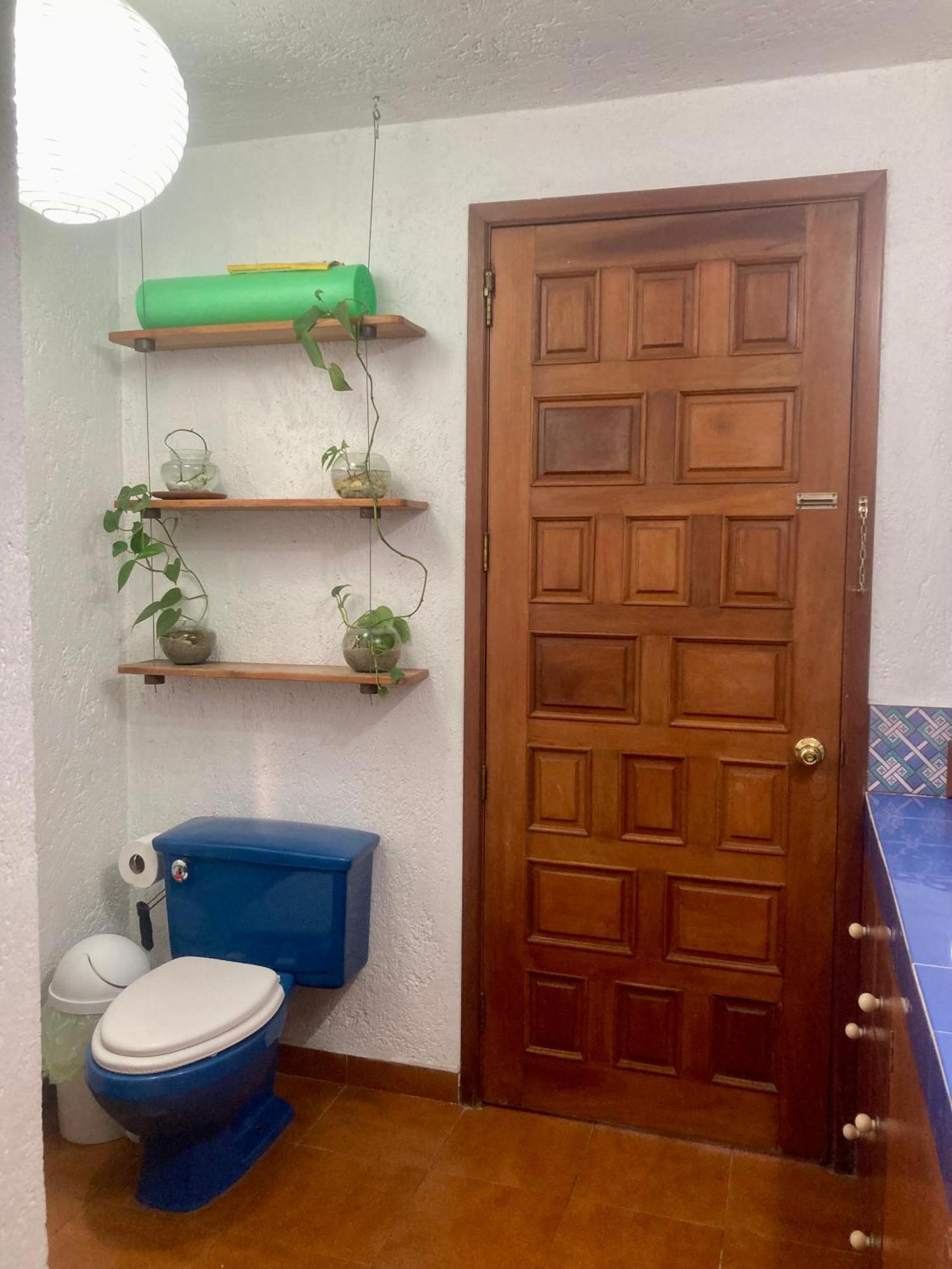 Casa Azul Las Hamacas Kota Meksiko Bagian luar foto